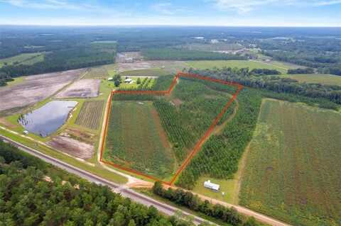 Lot 2 (19.8 Ac) Cody (Nichols, GA) Road, Other, GA 31554