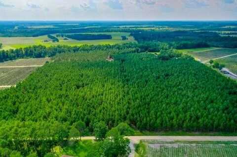 4060 County Farm Road Road, Blackshear, GA 31516