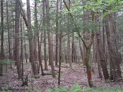 18 Robyn Lane, Pocono Lake, PA 18347
