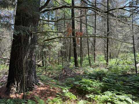 3280 MURMURING PINES TR, Pelican, WI 54463