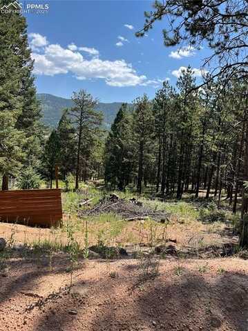 193 Summer Haven Drive, Woodland Park, CO 80863