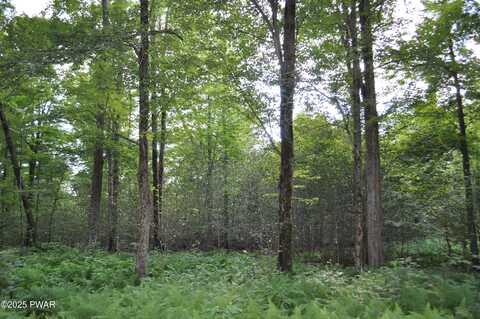 Bryn Mawr Road, Honesdale, PA 18431