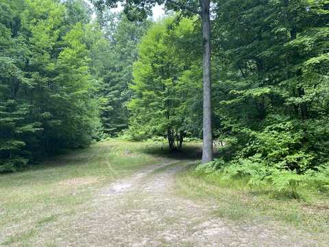 9190 Ferris Avenue, Bitely, MI 49309