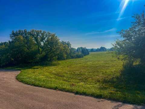 17-81 Clearwater, LAKE CARROLL, IL 61046
