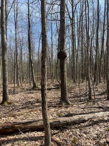 40 Acres 52ND Street, Pullman, MI 49450