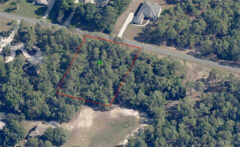 2624 W Begonia Drive, Beverly Hills, FL 34465