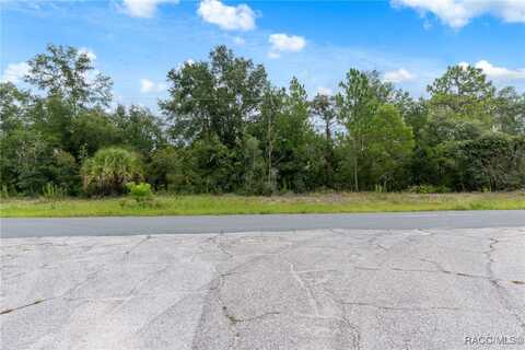 2257 N Stampede Drive, Beverly Hills, FL 34465
