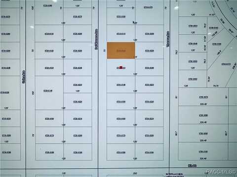 Del Monaco Avenue, Interlachen, FL 32148