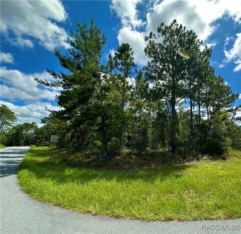 7575 N Lyric Drive, Citrus Springs, FL 34433
