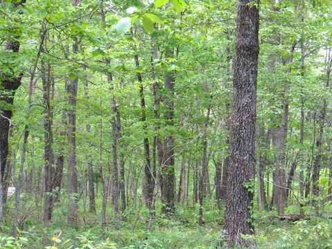 Tbd County Road 206, Alton, MO 65606