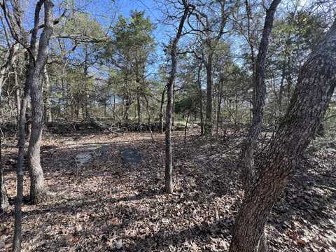 27 Timberlake Circle, Galena, MO 65656