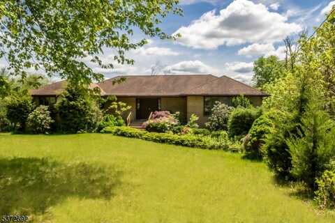 19 Reynolds Ave, Whippany, NJ 07054