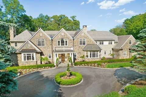 4 Rainetree Ridge, Mendham, NJ 07931