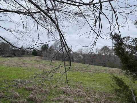 30.618 AC CR 4426, Winnsboro, TX 75494