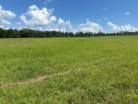 18 Mccabe Road, Spring City, TN 37381