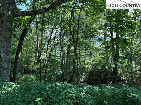 Tbd Camden Lane, Blowing Rock, NC 28605