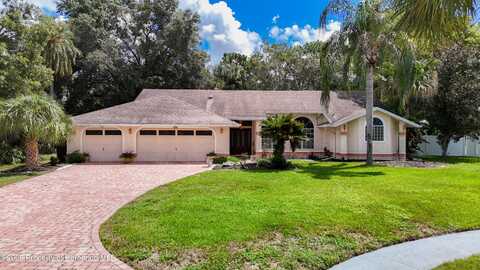 14101 Beechtree Court, Hudson, FL 34667