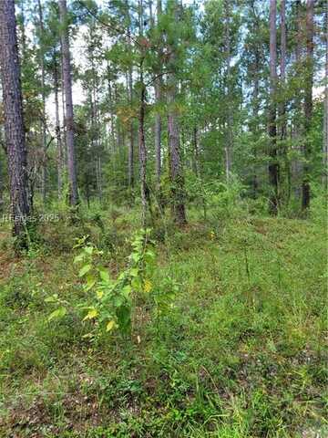 TBD Tina Manker, Ridgeland, SC 29936