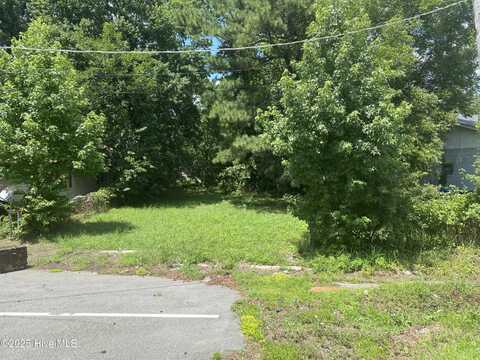 1207 Lincoln Street SE, Wilson, NC 27893