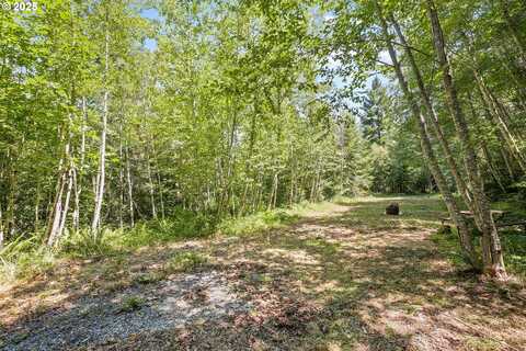 MOUNT REUBEN RD, Glendale, OR 97442