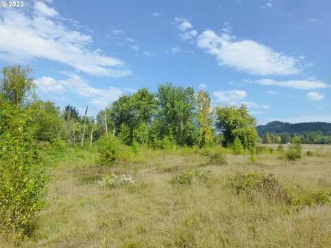 10960 172nd, Happy Valley, OR 97086