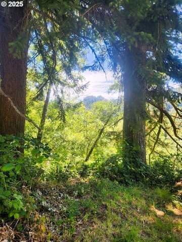Tiernan RD, Mapleton, OR 97453