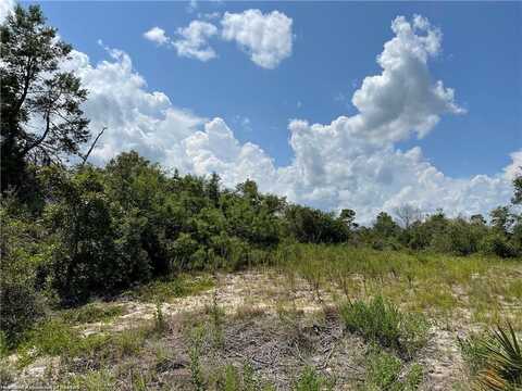 456 Rose Lane, Lake Placid, FL 33852