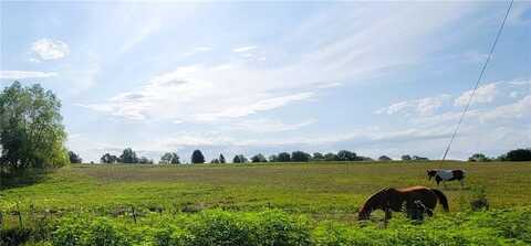 Lot 9 Of Oak Hills Subd. NW 1151st Road, Centerview, MO 64019