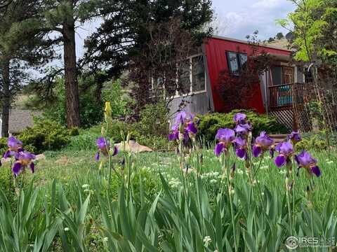 12041 Twilight St, Longmont, CO 80503