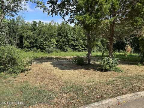 0 N Linden Drive, Alcoa, TN 37701