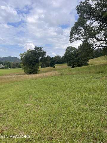 Dayflower Way, Maynardville, TN 37807