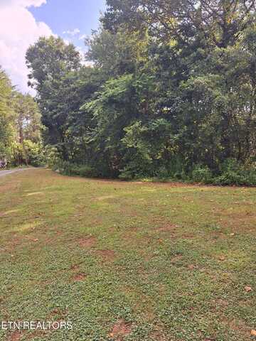 Mountain Rd, Tellico Plains, TN 37385