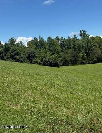 00 Mill Drive, Decatur, TN 37322
