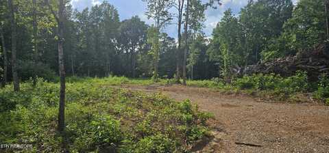 2834 Bradley Lake Lane, Knoxville, TN 37921