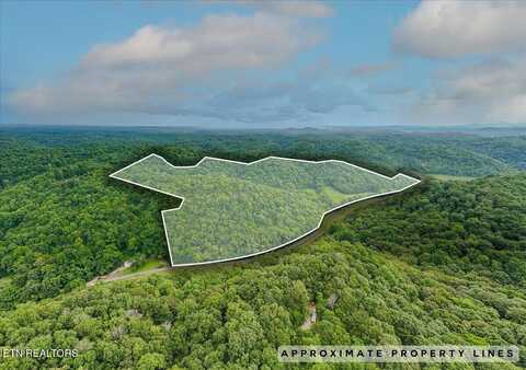 Knob Creek Rd, Celina, TN 38551