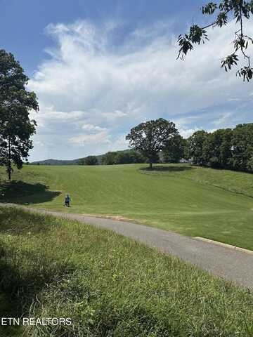 walelu trail Tr, Vonore, TN 37885