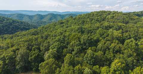 Gravely Valley Road, Eidson, TN 37731