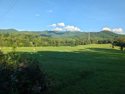 Edwina-Bridgeport Road, Newport, TN 37821
