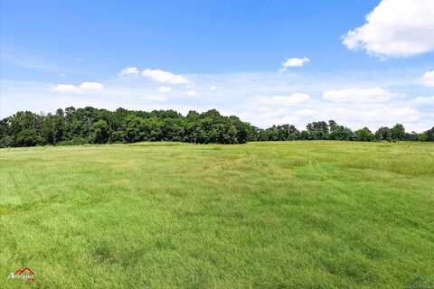 Tbd CR 2414, Leesburg, TX 75451