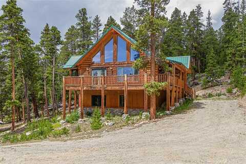 725 ZEBULON STREET, Fairplay, CO 80440