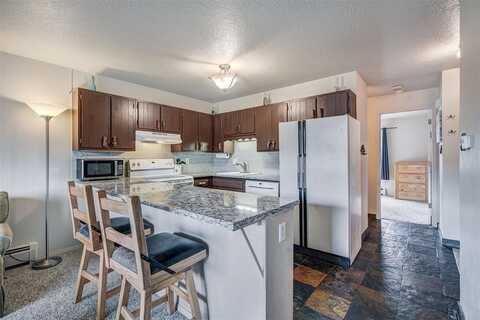1003 STRAIGHT CREEK DRIVE, Dillon, CO 80435