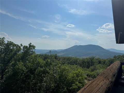 45100 DIAMONDBACK WAY, Steamboat Springs, CO 80487