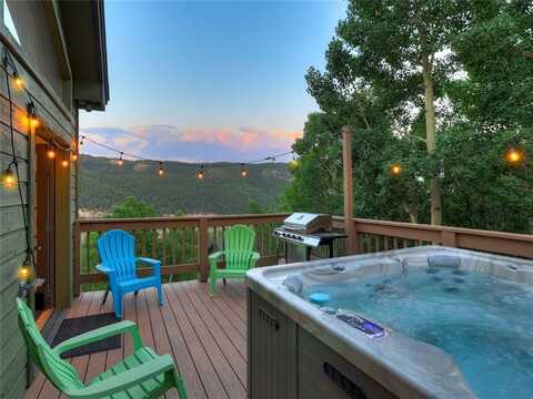 1095 QUARTZVILLE, Alma, CO 80440