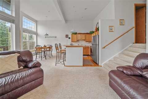 91399 RYAN GULCH ROAD, Silverthorne, CO 80498