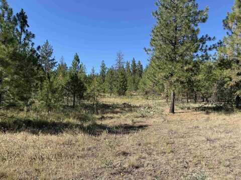 000 TBD Rd, Davenport, WA 99122