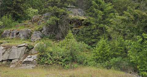 279x Deep Lake Boundary Rd, Colville, WA 99114
