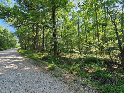 Sycamore Creek Rd, Wingina, VA 24599