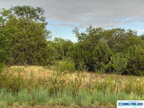 2X Rosedale Road, Silver City, NM 88061