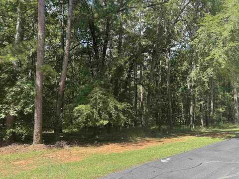 1101 BENNETT SPRINGS DRIVE, Greensboro, GA 30642