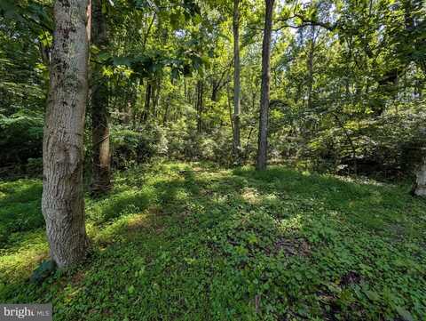 LOTS 83-84 ORIOLE CT, FRONT ROYAL, VA 22630
